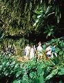  Kauai attraction